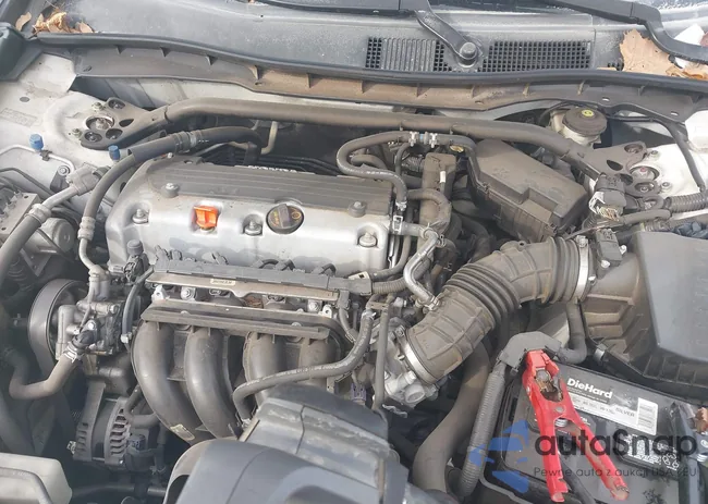 1HGCS1B87BA015772: 43705475