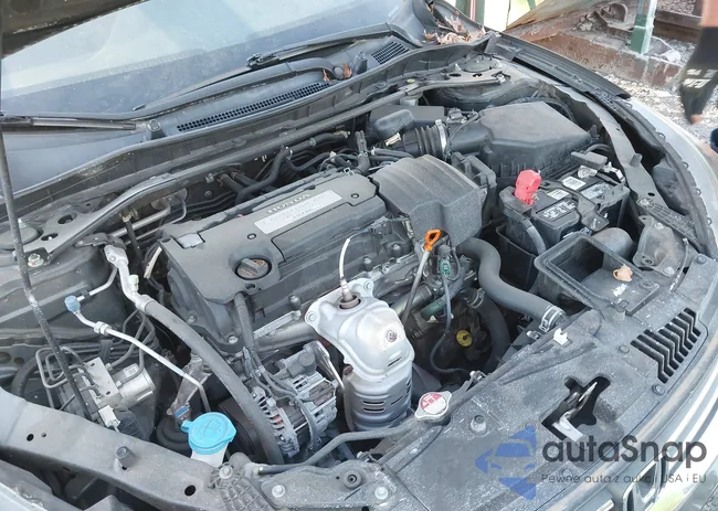 1HGCR2F82DA200391: 43705508