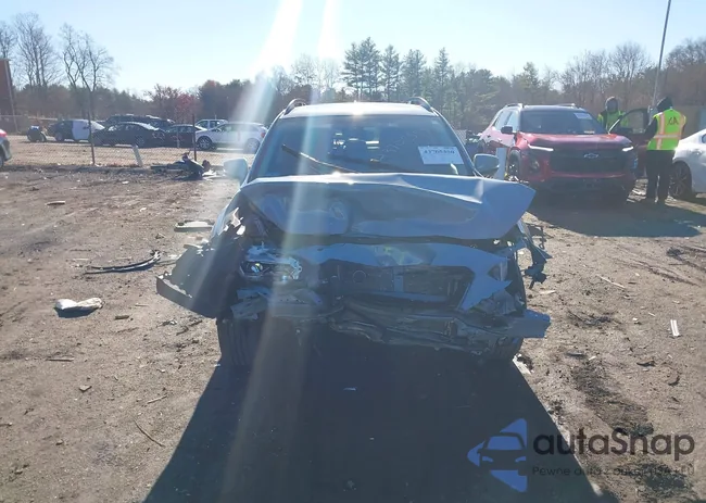 JF2GTAMC5LH229992: 43705550