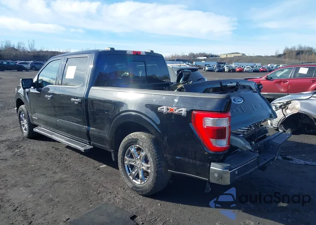 1FTFW1ED7MFB33884: 43705868