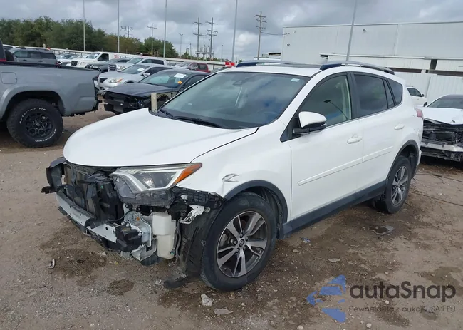 JTMWFREV0JJ164636: 43707288