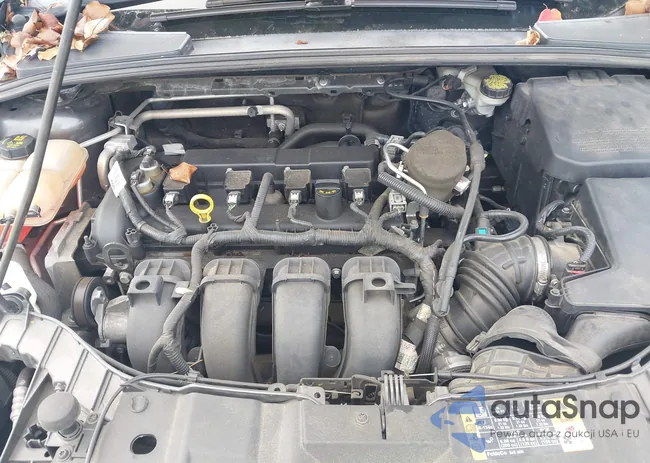 1FADP3F26FL353976: 43706871