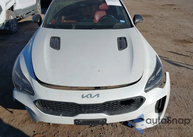 KNAE35LD1N6101400: 43708616