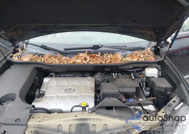 2T2BK1BA0EC245579: 43707849