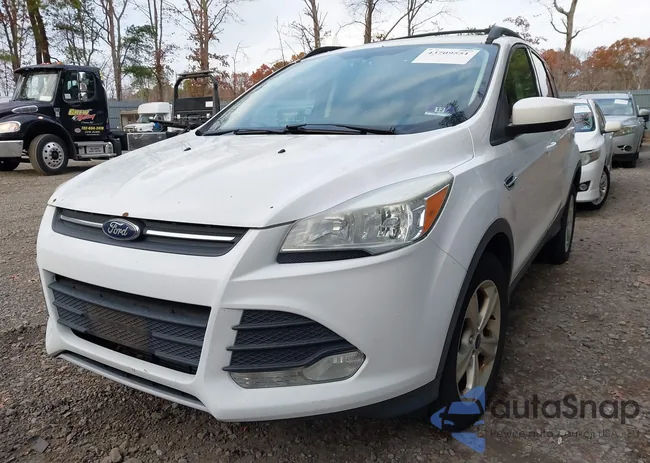 1FMCU9G94FUB54282: 43709551