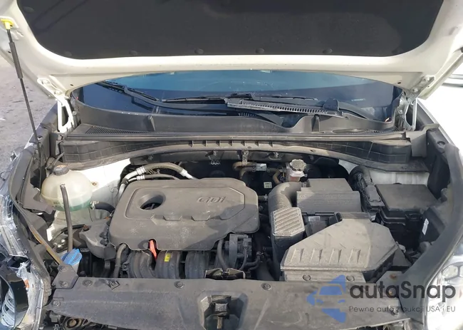 KNDP6CAC8L7680166: 43710352