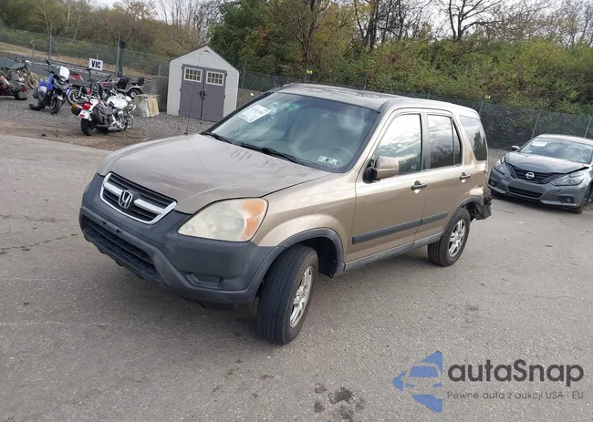 SHSRD78834U238701: 43711383