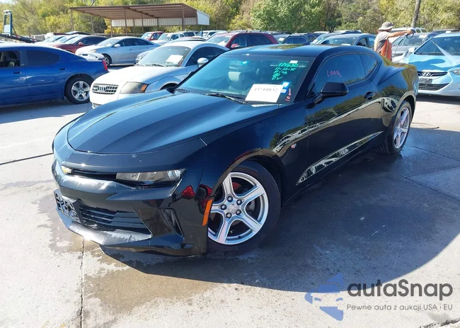 1G1FB1RS5G0184630: 43710832