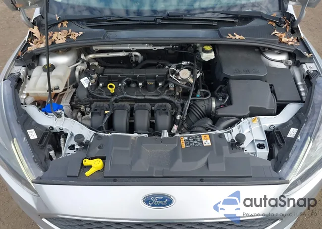 1FADP3H25HL201042: 43712585