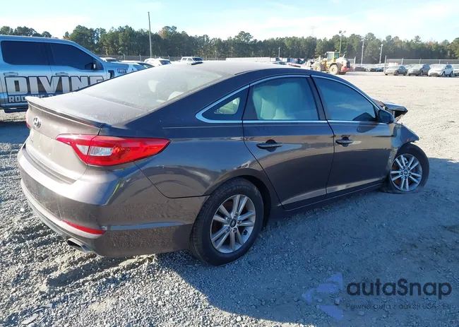 5NPE24AF3HH513347: 43713532