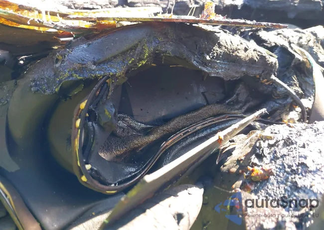 1C4RJEBG5FC749976: 43712700