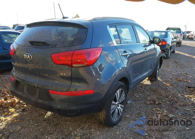 KNDPC3AC5G7875320: 43712763