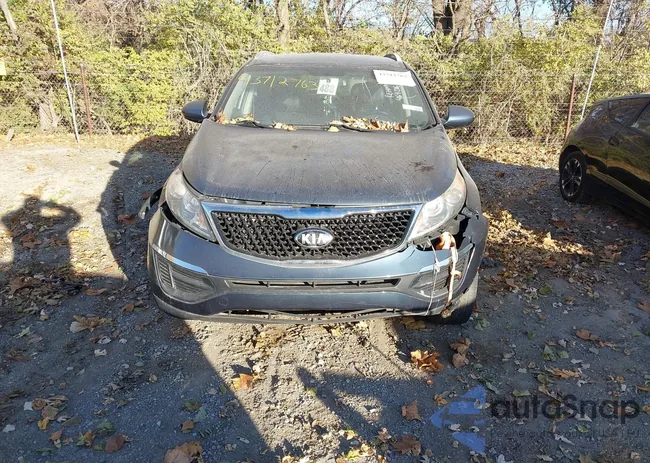 KNDPC3AC5G7875320: 43712763