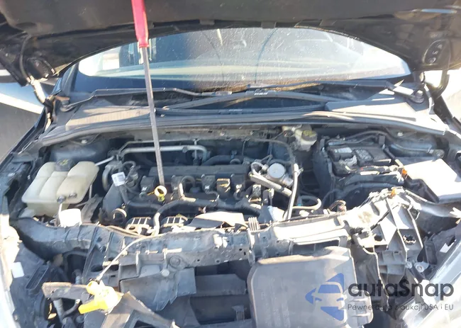 1FADP3K28GL338211: 43713869