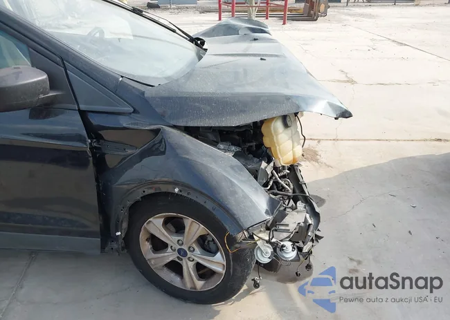 1FMCU0F79EUE27095: 43715986