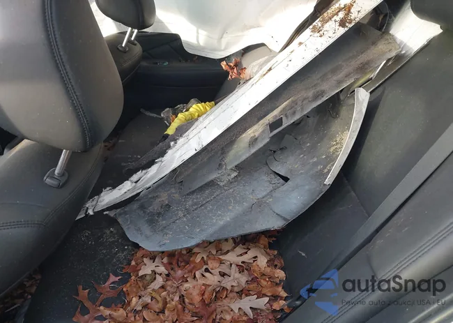 JN1EV7AR8HM831685: 43717305