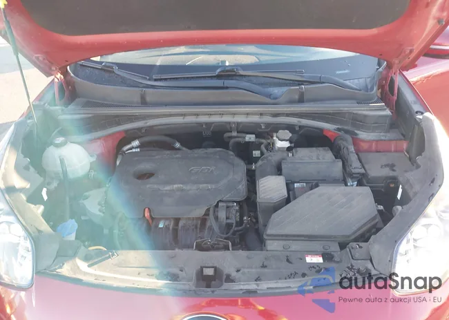 KNDP63AC1L7708843: 43717497