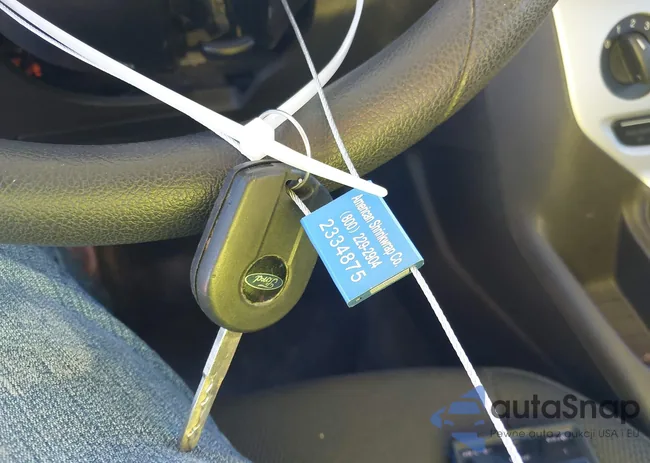 1FADP3F2XDL106098: 43717616