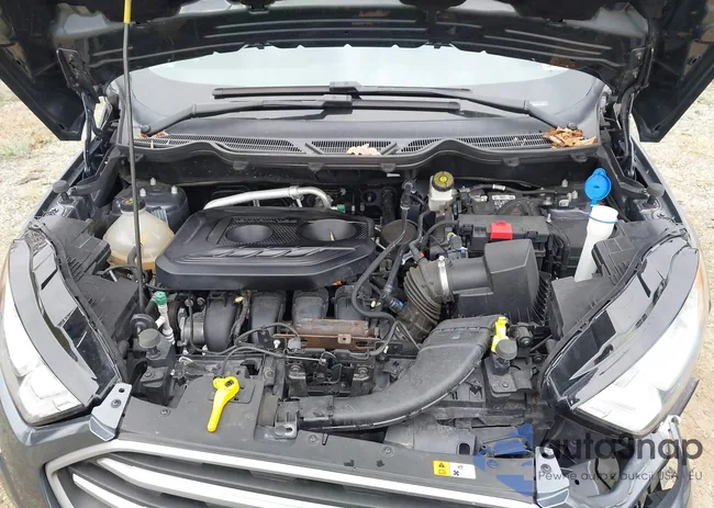 MAJ6S3GL9MC402650: 43718397