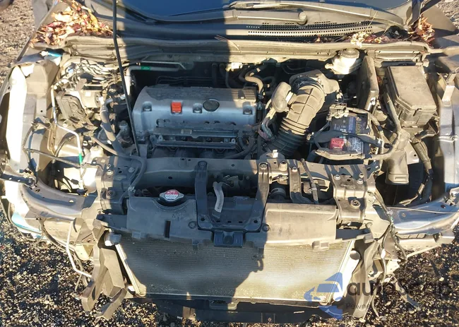 5J6RM4H75EL093604: 43717787