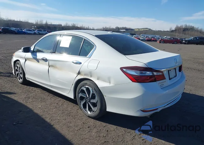 1HGCR3F80HA043486: 43717879