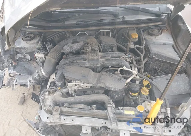 JF1GPAP66G8273388: 43719047