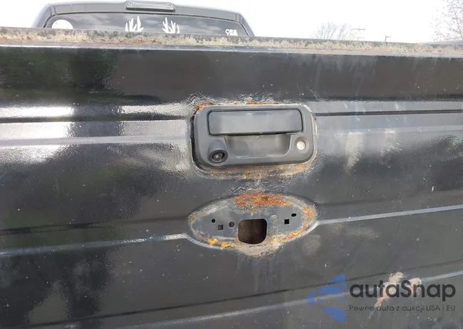 1FTPW14V79KC17314: 43718724