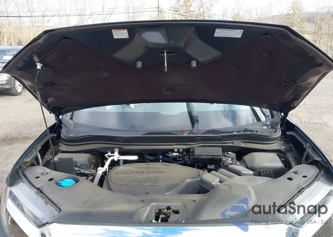 5FNYF8H59RB011674: 43718772