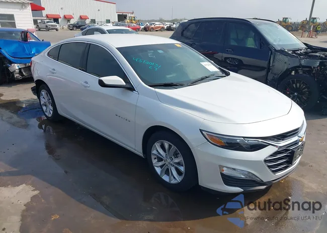 1G1ZD5ST9KF205874: 43720131