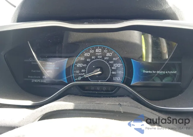 1FADP5BU1FL116444: 43720484