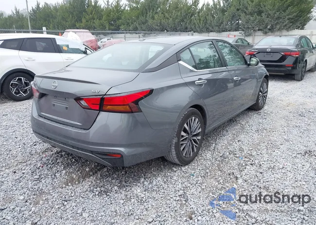 1N4BL4DV1PN307094: 43719961