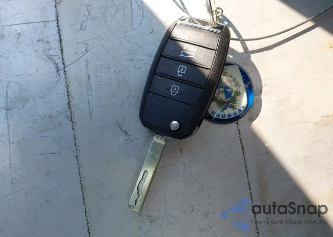 KNAGT4L35H5183653: 43721510