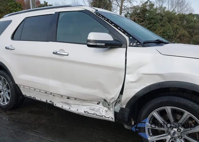 1FM5K8FH9HGA19396: 43721544