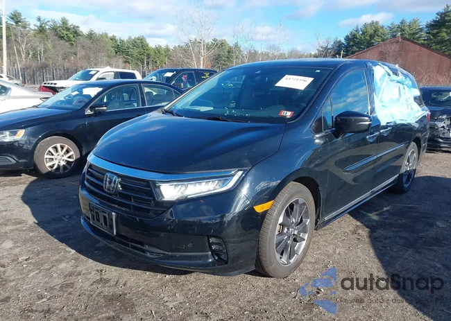 5FNRL6H96MB002556: 43721596