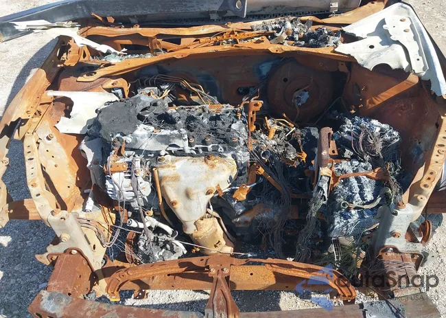 1N4AL2EP3CC202871: 43720767