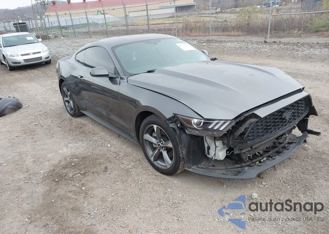 1FA6P8AM5G5298716: 43721970