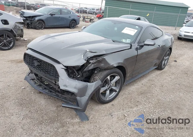 1FA6P8AM5G5298716: 43721970