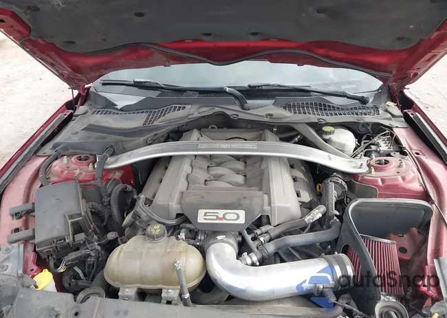 1FA6P8CF5F5353601: 43723178