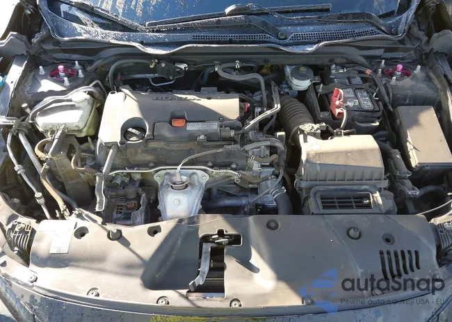 19XFC2F66KE018943: 43723587