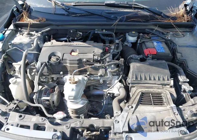 19XFL2H87PE005396: 43724355