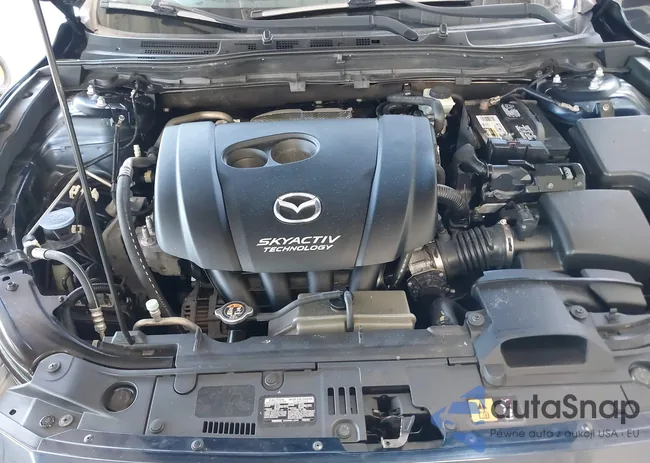 3MZBM1L79FM181601: 43724460