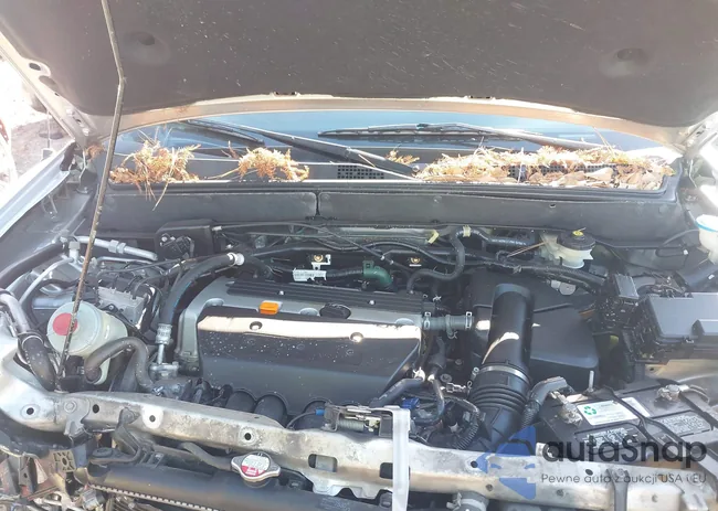 SHSRD78875U323574: 43726128