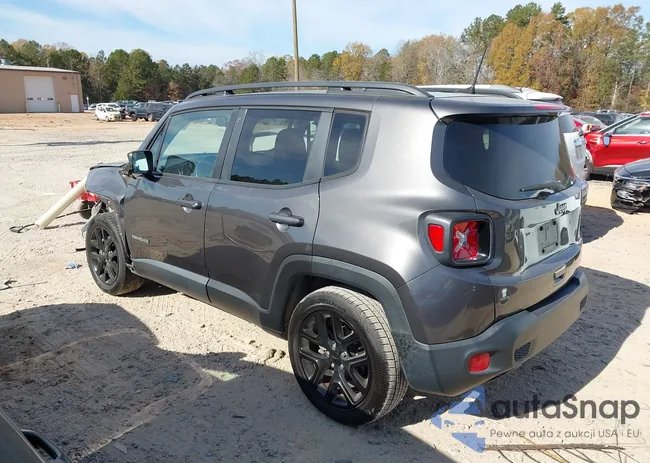 ZACCJABB5JPG85218: 43725718