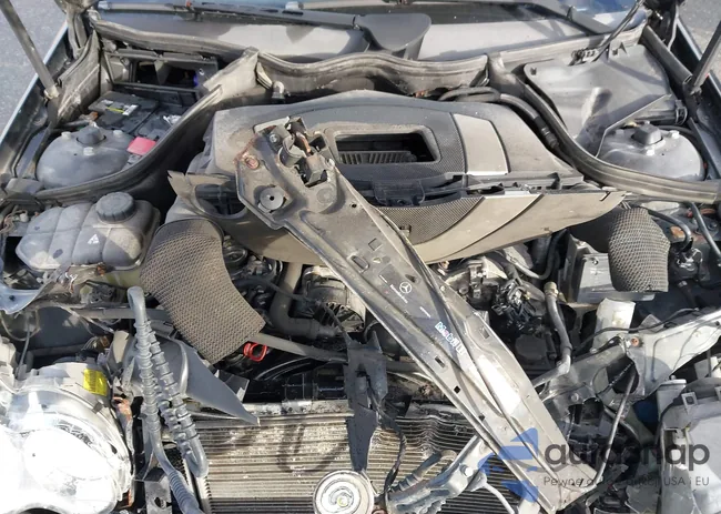 WDBRF92H07F919547: 43725744