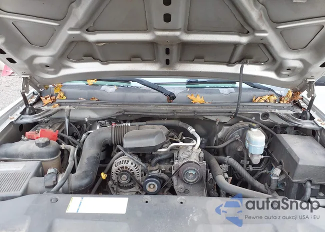 1GCPCPEX5AZ282833: 43725906