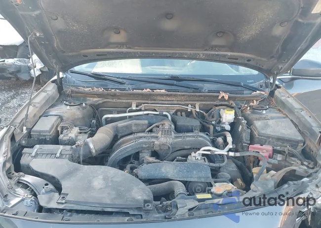 4S4BTAMC2M3102412: 43726872