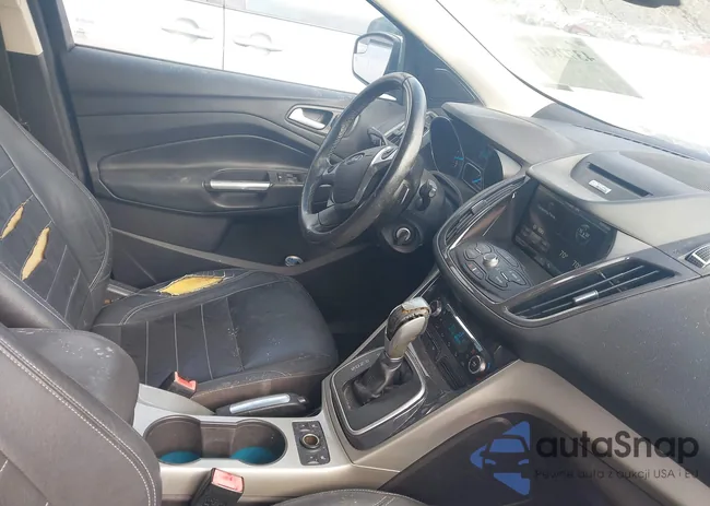 1FMCU9H96DUC36882: 43728311