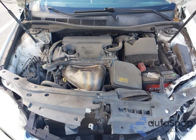 4T4BF1FKXFR478810: 43728530