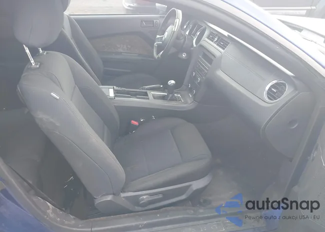 1ZVBP8AM2E5259004: 43727640