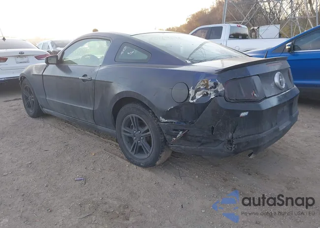 1ZVBP8AM8C5283627: 43729148